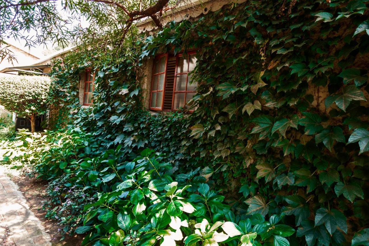 Town And Country Mpumalanga Hotel Middelburg  Exterior photo